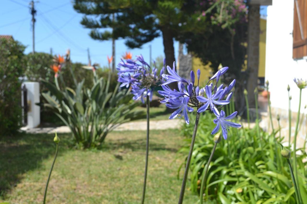 Meraki Guesthouse Ericeira Zewnętrze zdjęcie